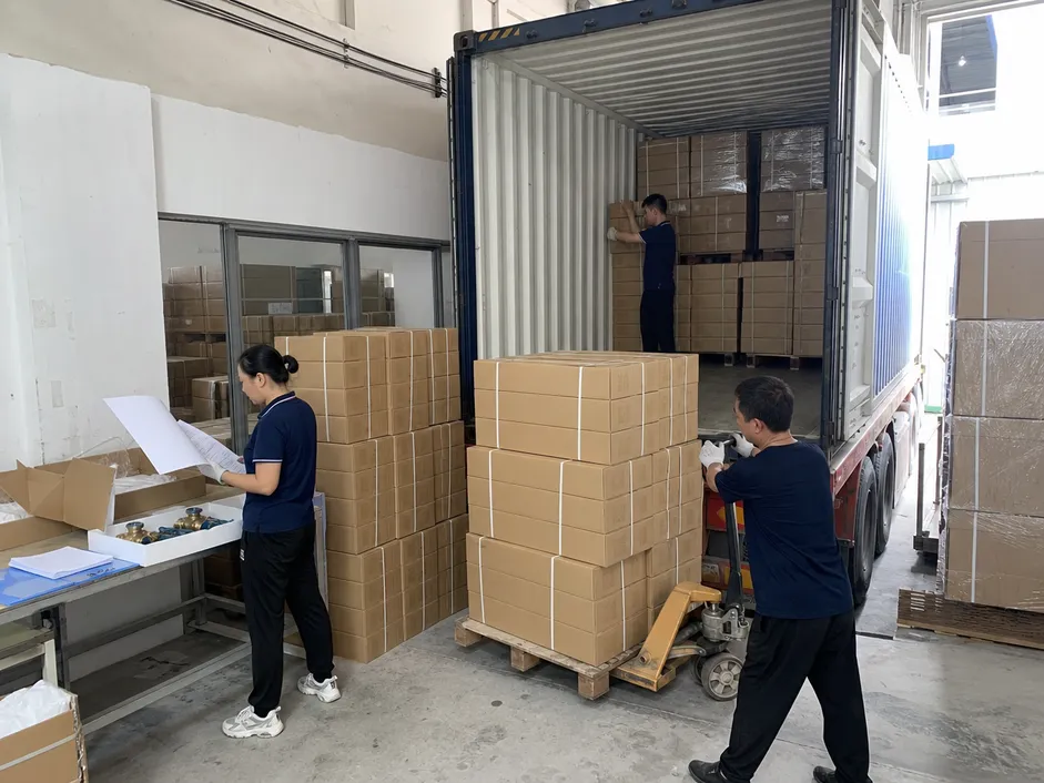 Container loading and packing configuration for concealed shower systems