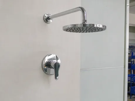 Wall mount shower faucets — exposed valve body, handle, and shower arm surface-mounted