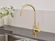 PVD gold finish under sink filter faucet