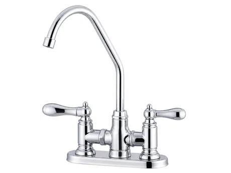 Dual handle water filter faucet